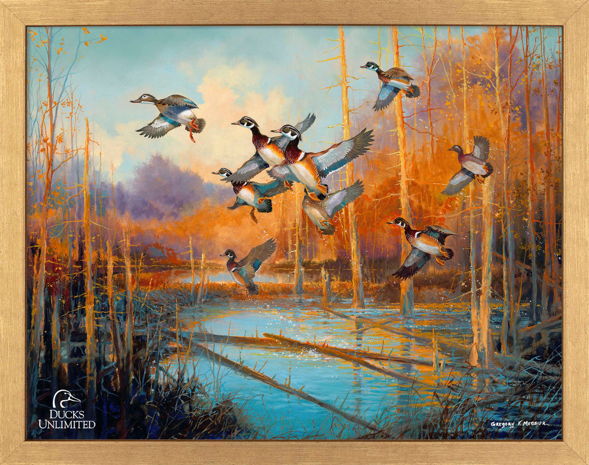 Wood Ducks - Art Prints - Official Ducks Unlimited Art