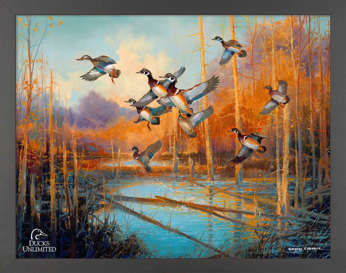 Wood Ducks - Art Prints - Official Ducks Unlimited Art
