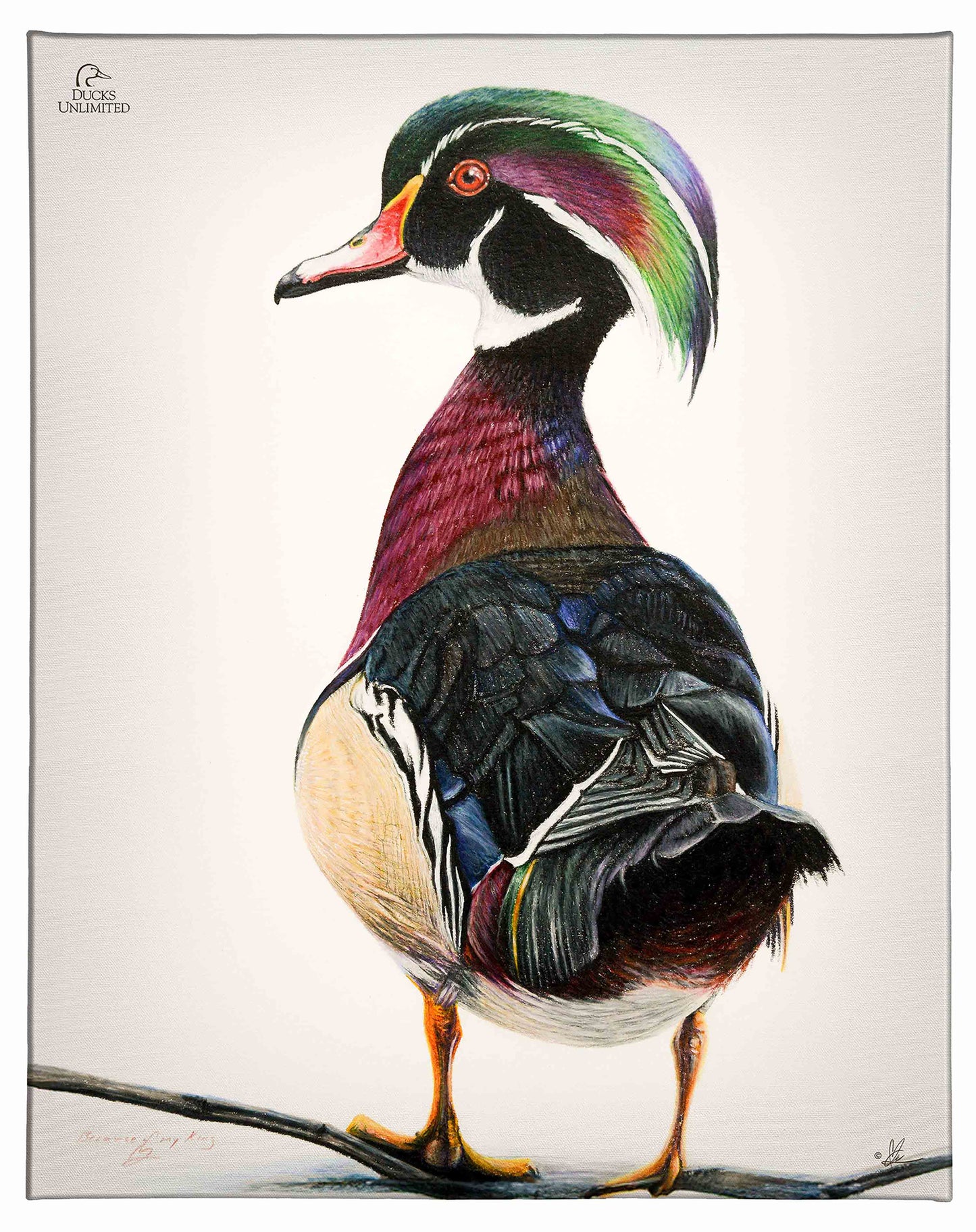 Woody Gallery Wrapped Canvas - Official Ducks Unlimited Art