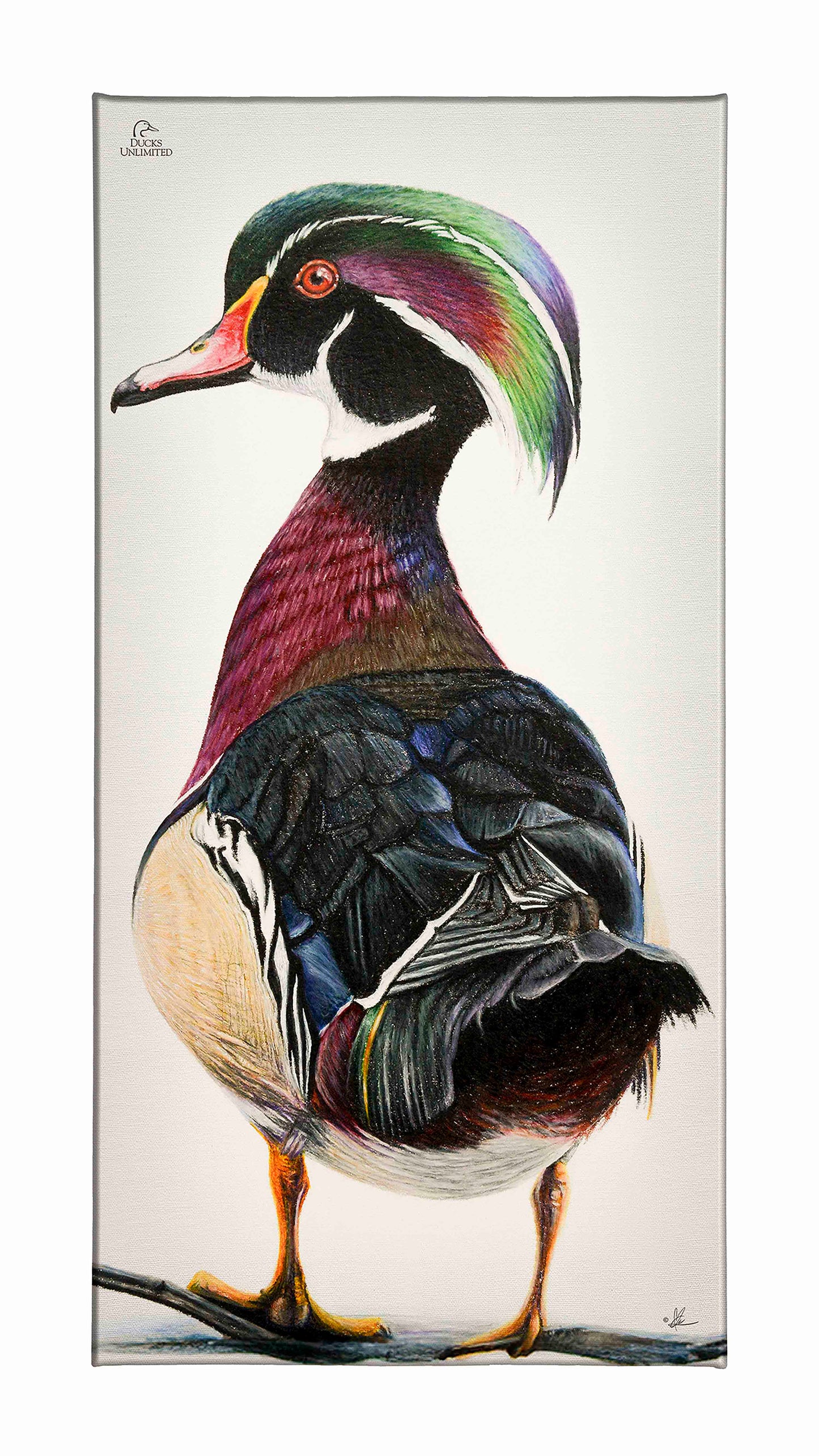Woody Gallery Wrapped Canvas - Official Ducks Unlimited Art
