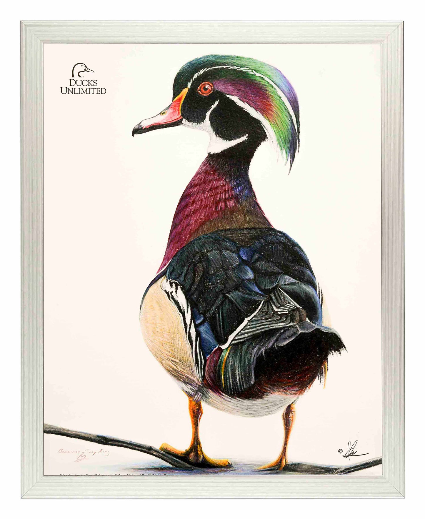 Woody Art Prints - Official Ducks Unlimited Art
