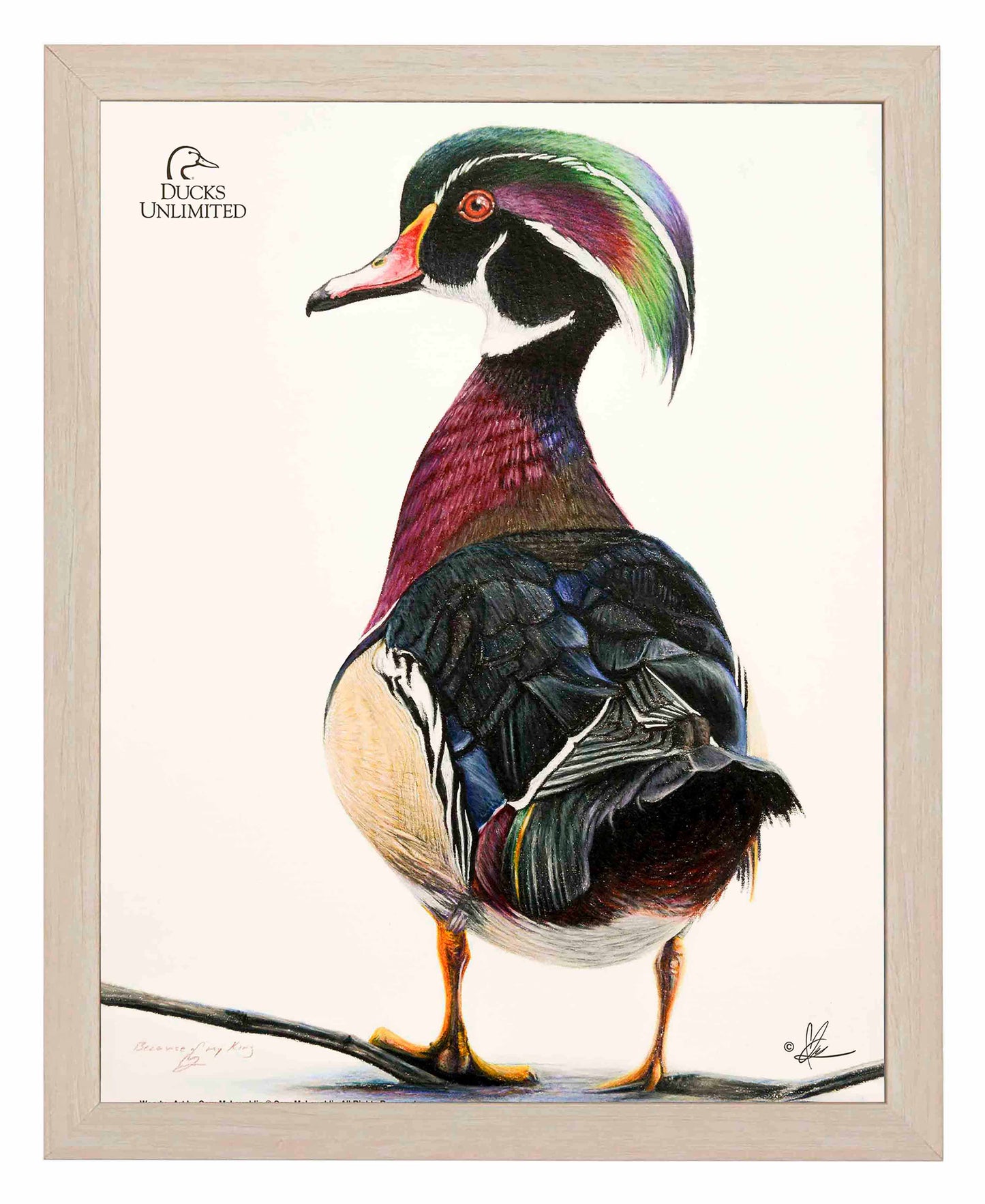 Woody Art Prints - Official Ducks Unlimited Art