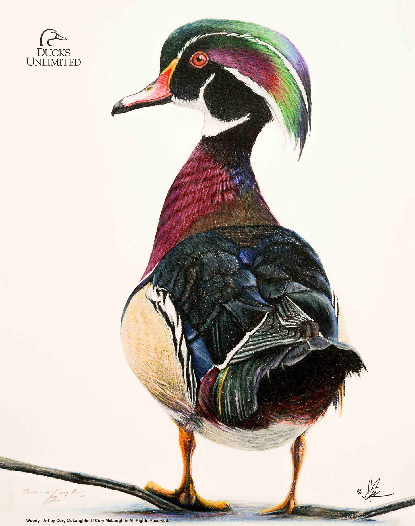 Woody Art Prints - Official Ducks Unlimited Art