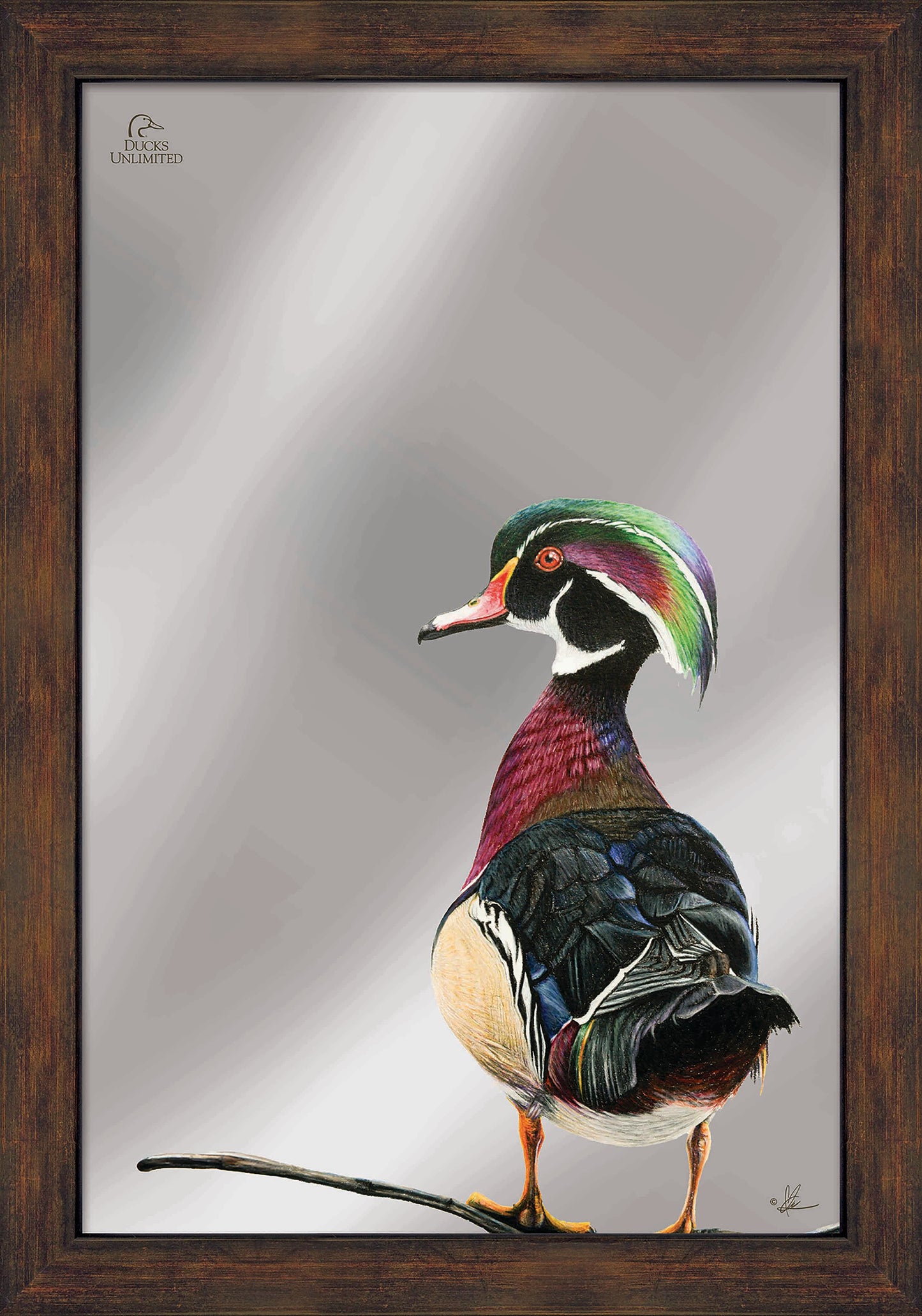 Woody 16" x 24" Mirror Framed Barnwood - Official Ducks Unlimited Art