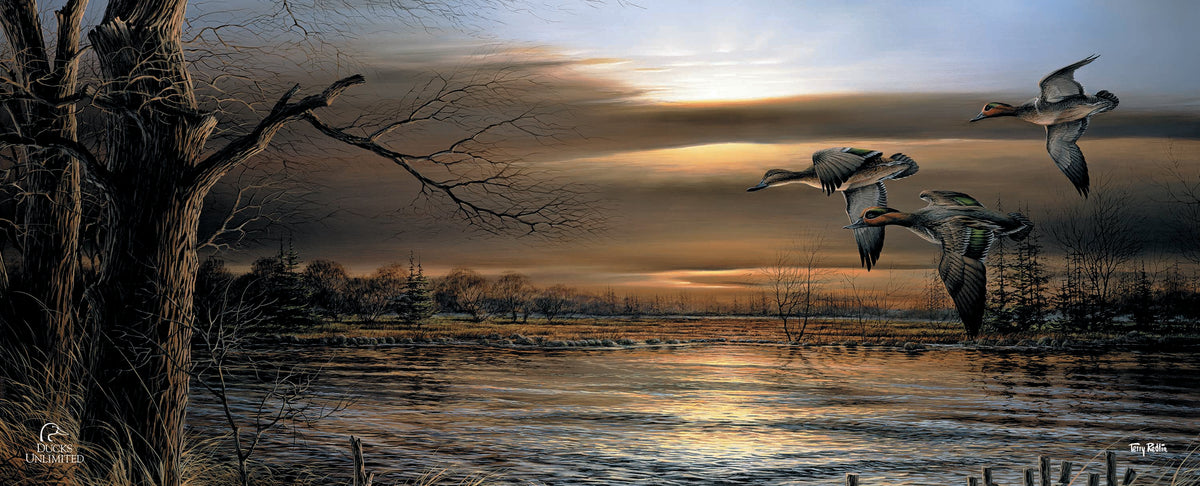 Reflections - Green - winged Teal 12" x 30" Wood Sign - Official Ducks Unlimited Art