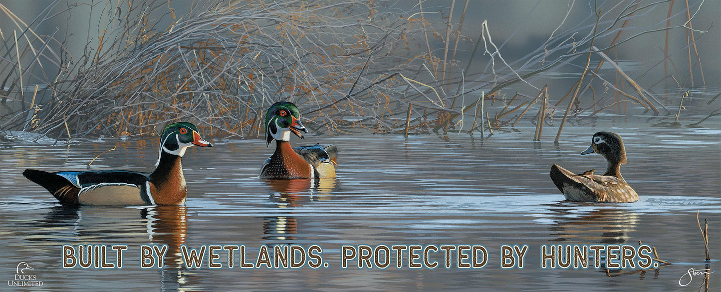 Springtime Chatter Wood Ducks "Marsh rules: Watch first. Call second."  12" x 30" Wood Sign - Official Ducks Unlimited Art