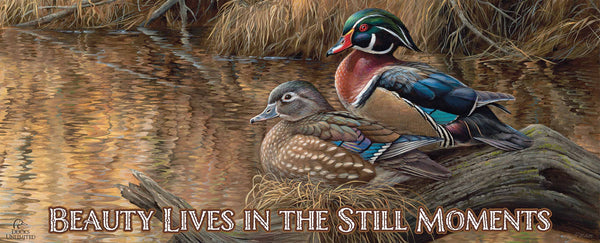 Sitting Pretty  Wood Ducks "Beauty Lives in the Still Moments"  12" x 30" Wood Sign - Official Ducks Unlimited Art