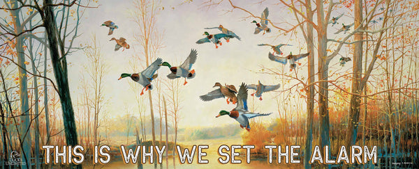 Graceful Descent "This Is Why We Set the Alarm."  12" x 30" Wood Sign - Official Ducks Unlimited Art