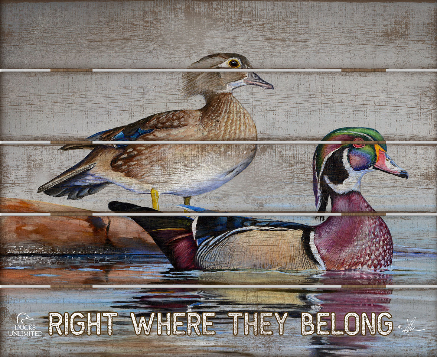 Foggy Day Woodies "Right Where They Belong."  18" x 22" Pallet Wall Art - Official Ducks Unlimited Art