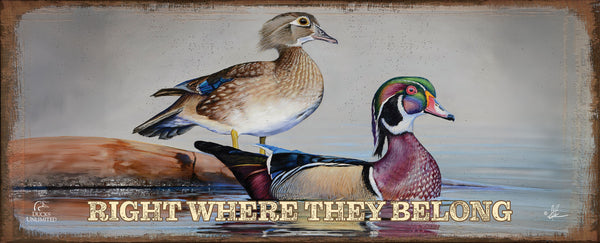 Foggy Day Woodies "Right Where They Belong."  12" x 30" Wood Sign - Official Ducks Unlimited Art
