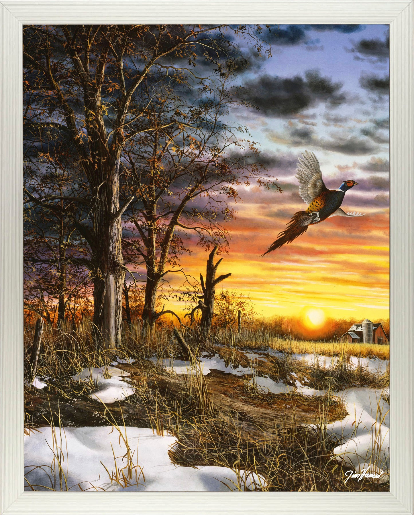 Autumn Ringneck - Art Prints