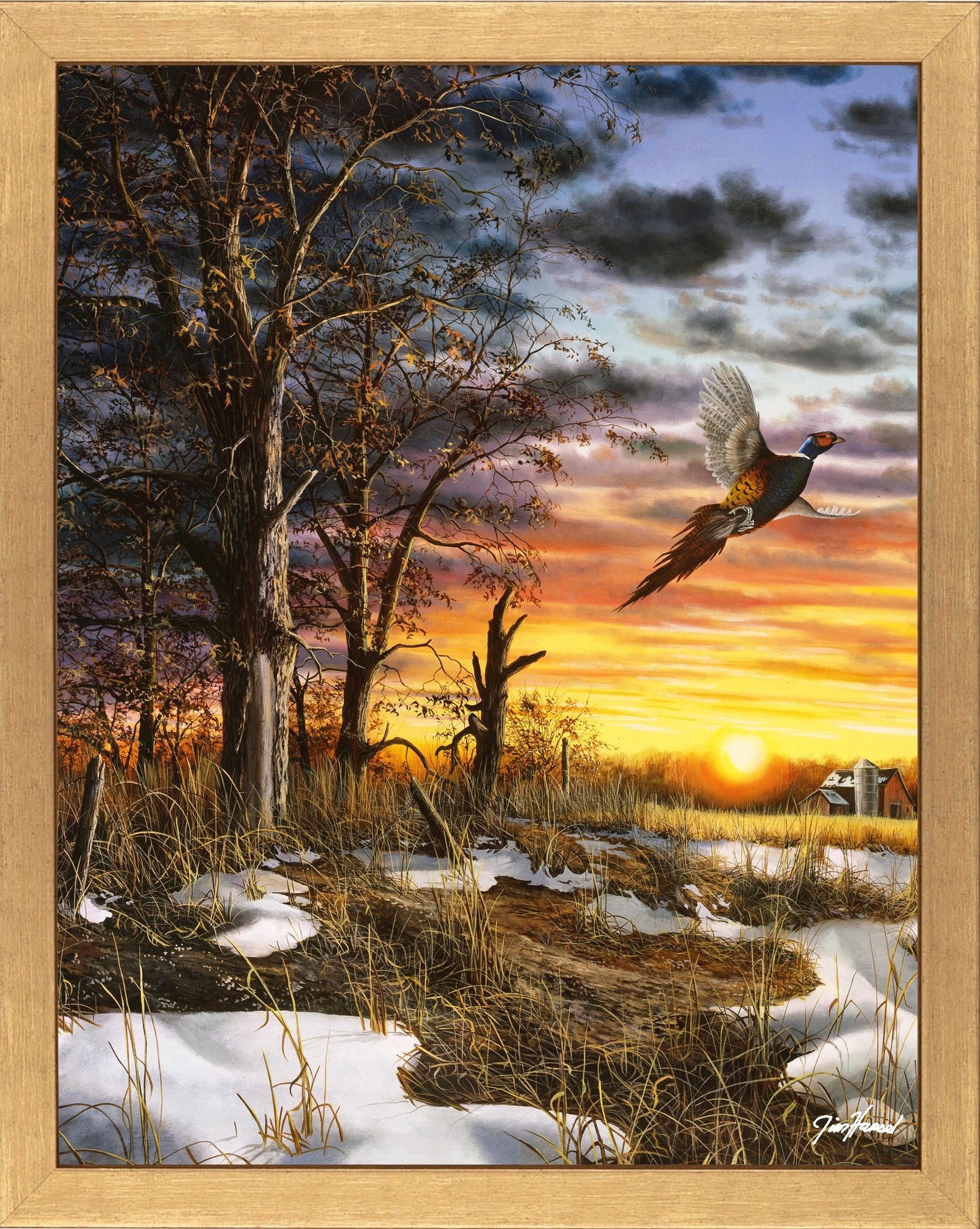 Autumn Ringneck - Art Prints
