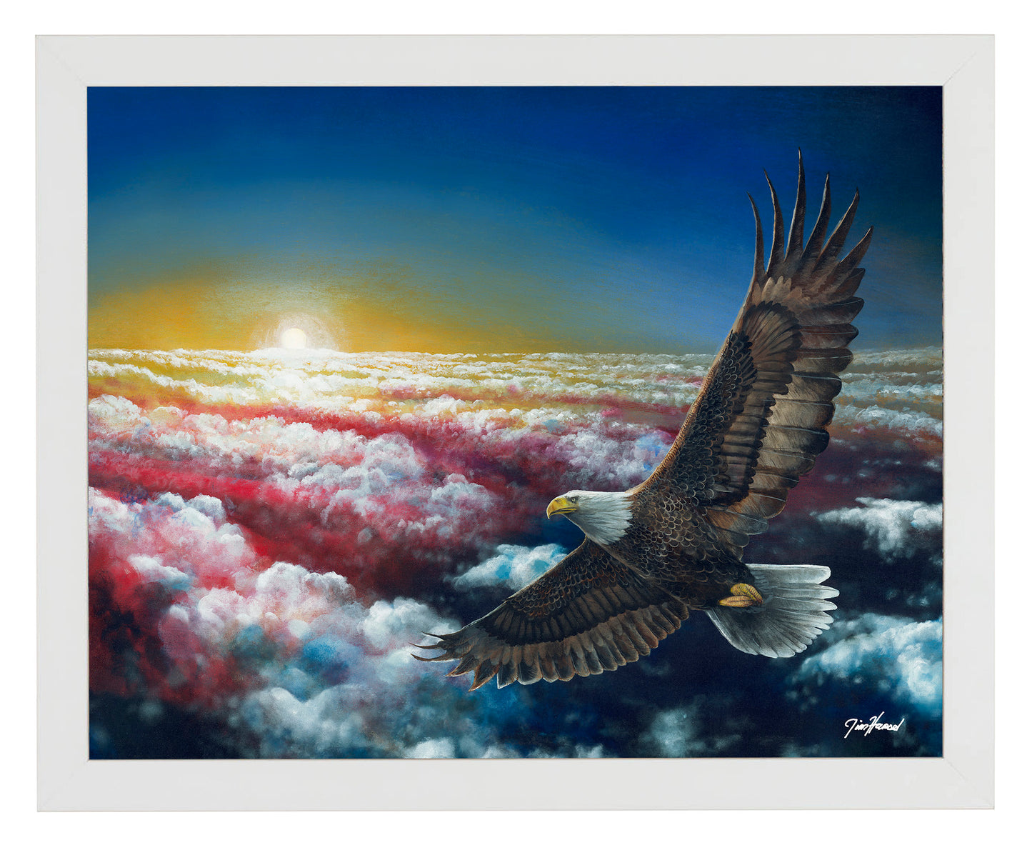 Land Of The Free - Art Prints