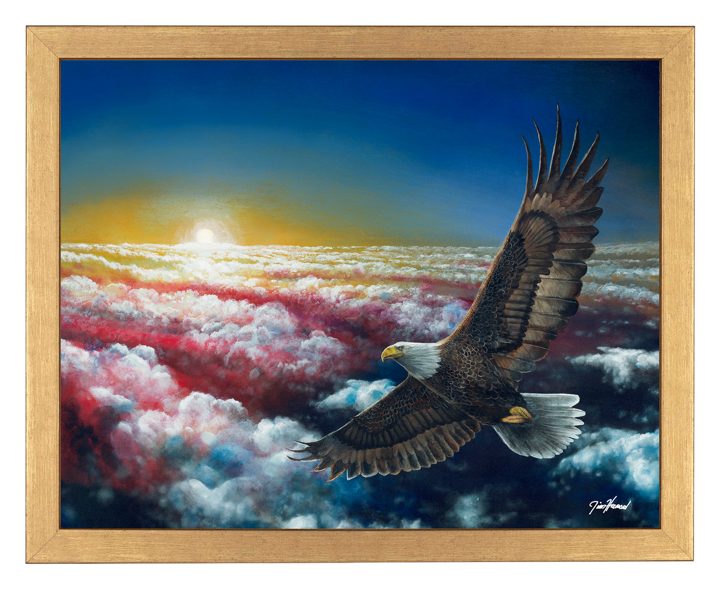 Land Of The Free - Art Prints