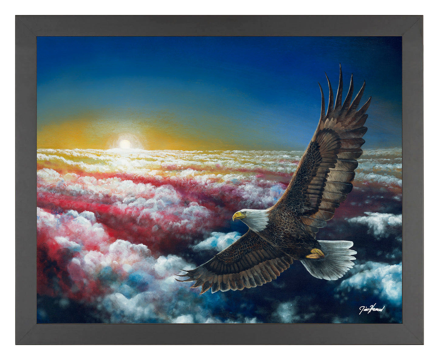Land Of The Free - Art Prints