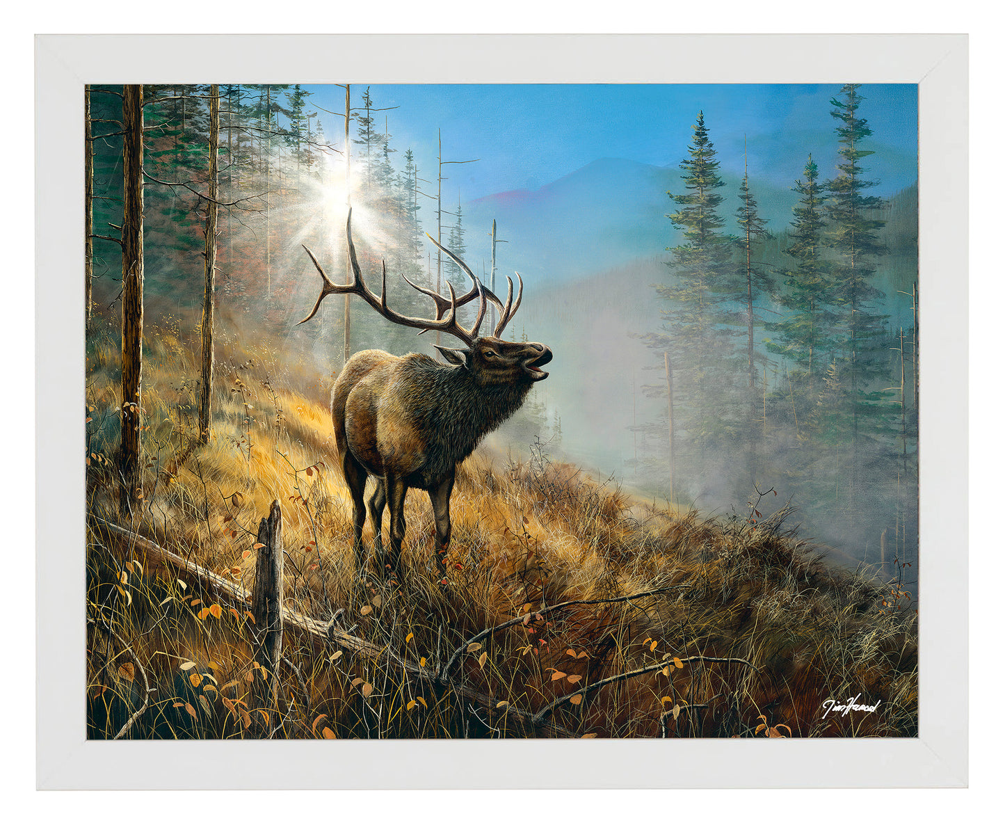 Song in the Mist - Art Prints