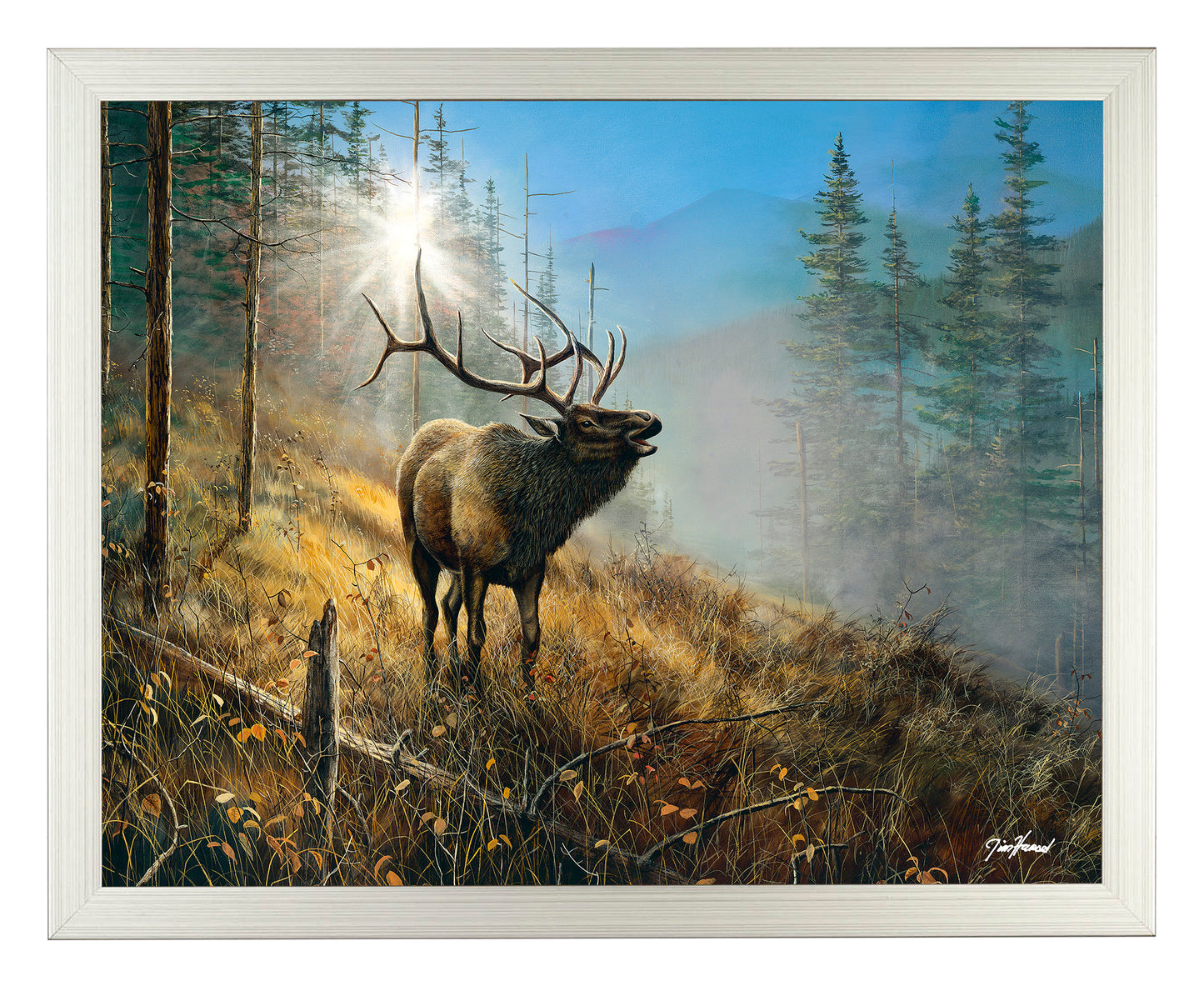 Song in the Mist - Art Prints