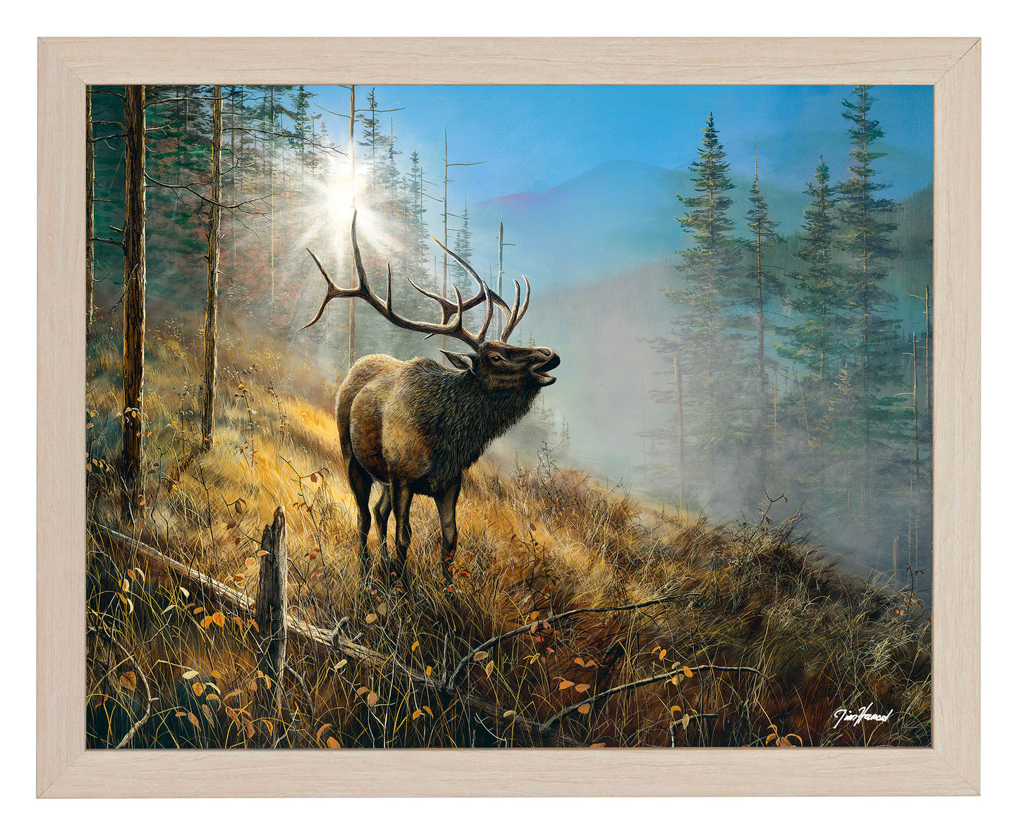 Song in the Mist - Art Prints