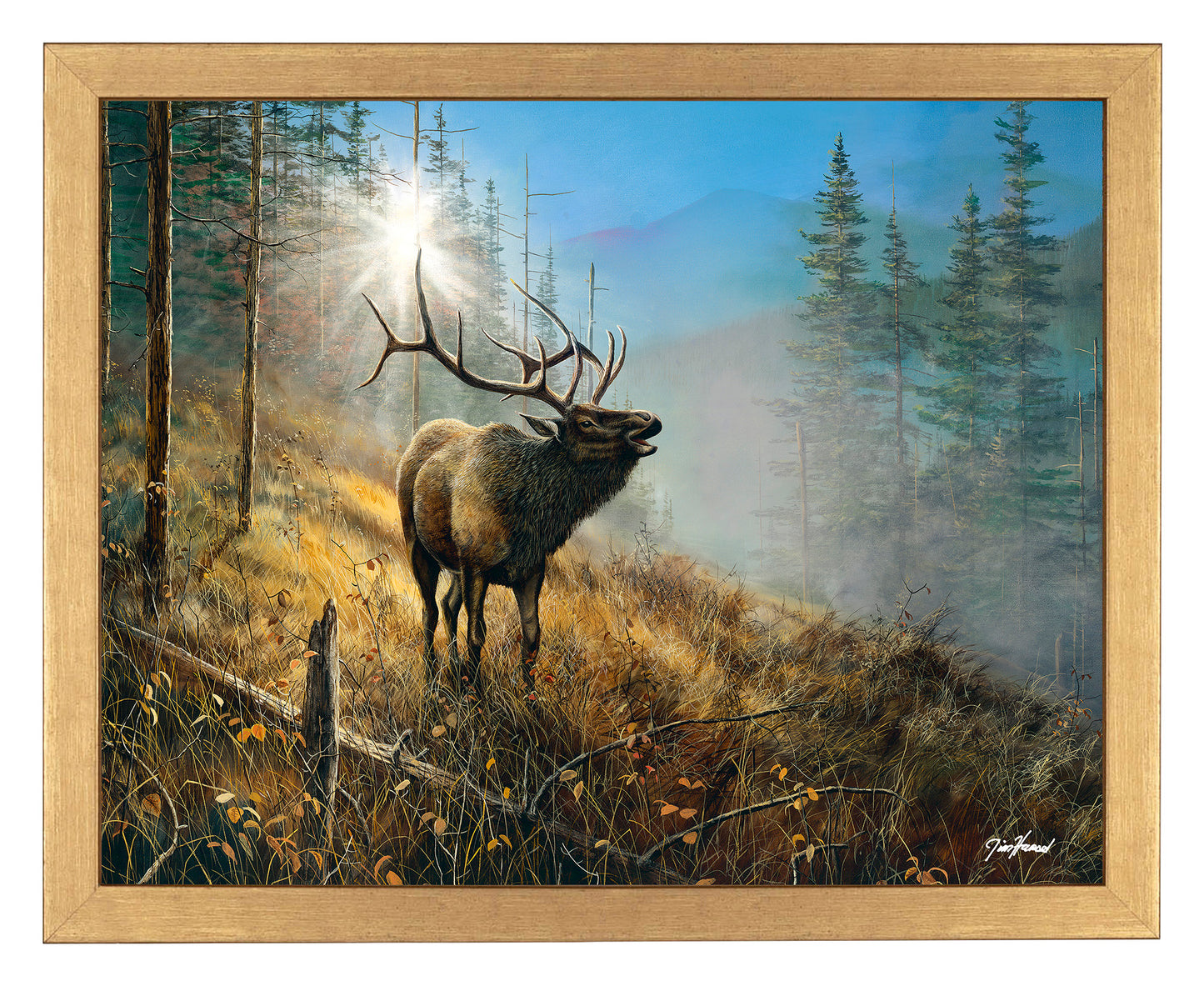 Song in the Mist - Art Prints