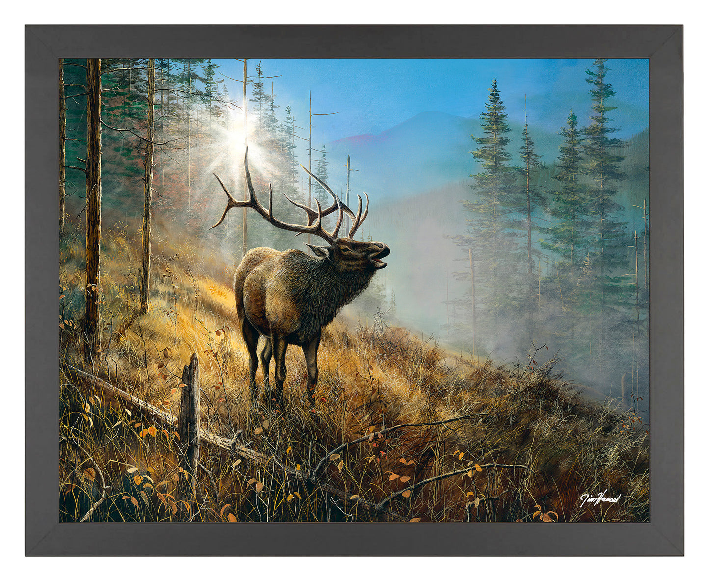 Song in the Mist - Art Prints