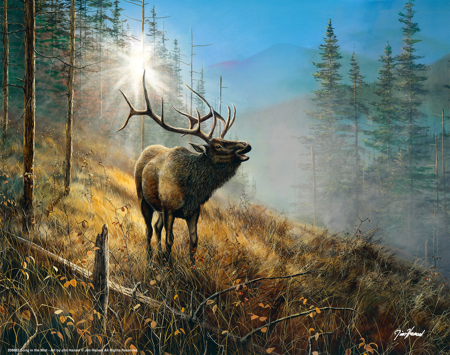 Song in the Mist - Art Prints