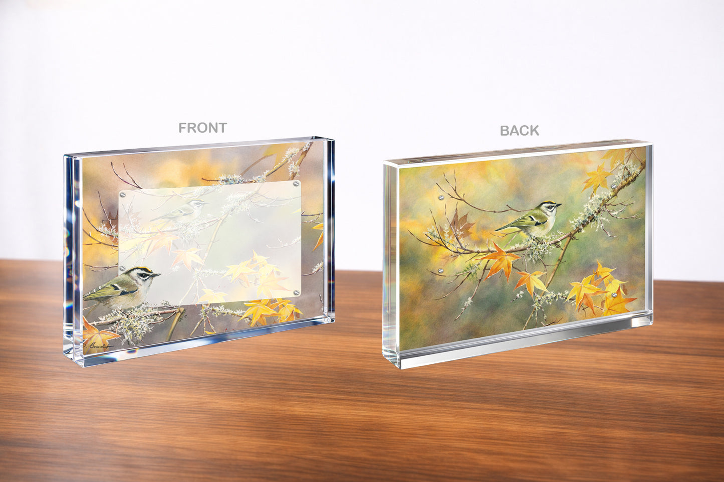 A Kinglet's Gold Acrylic Wall Art & Home Decor