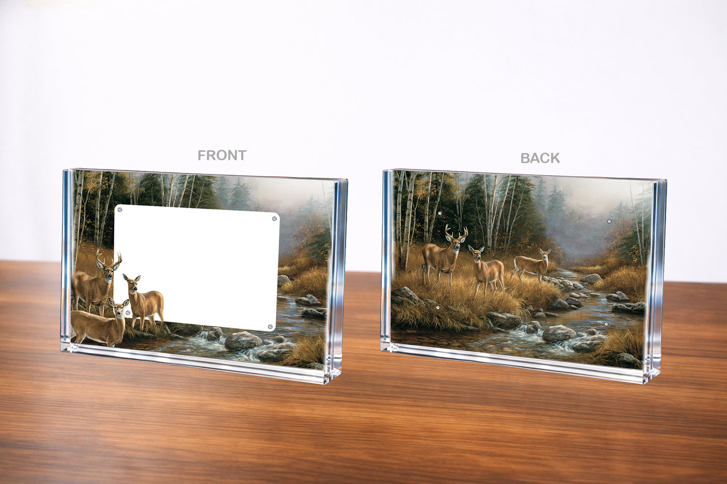 Autumn Reflections - Whitetail Deer Acrylic Wall Art & Home Decor