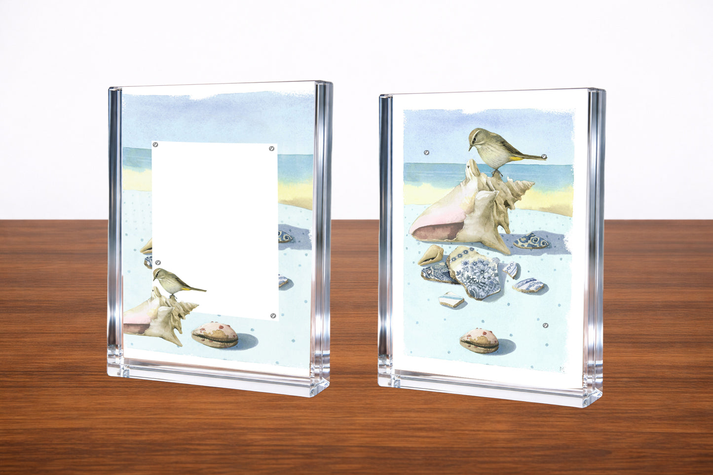 Beach Treasures Acrylic Wall Art & Home Decor