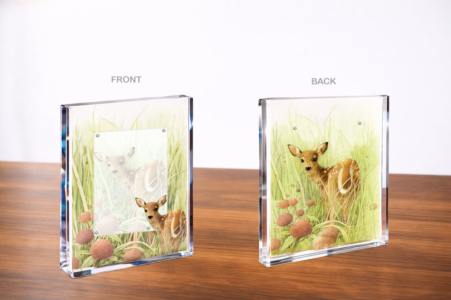 Chance Encounter Acrylic Wall Art & Home Decor