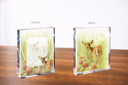 Chance Encounter Acrylic Wall Art & Home Decor