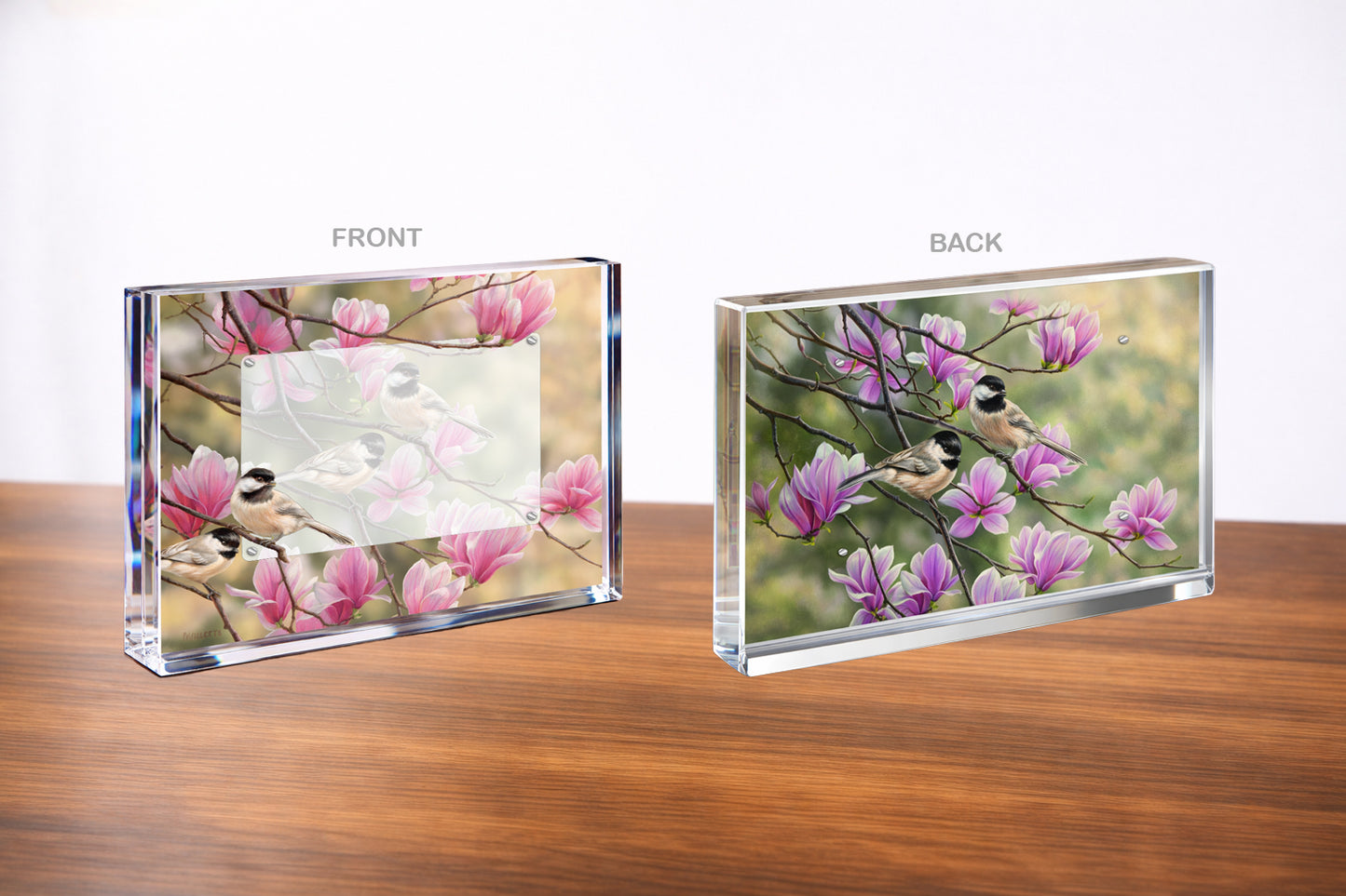 Chickadees and Magnolias Acrylic Wall Art & Home Decor