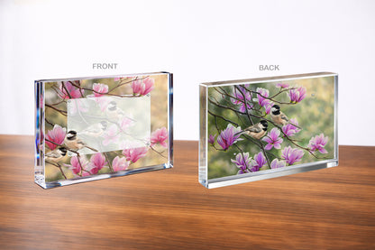 Chickadees and Magnolias Acrylic Wall Art & Home Decor