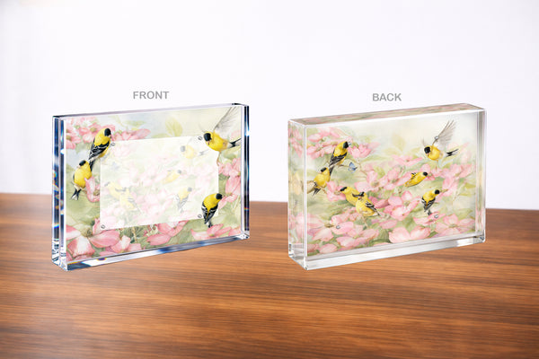 Crowded Dogwood Acrylic Wall Art & Home Decor