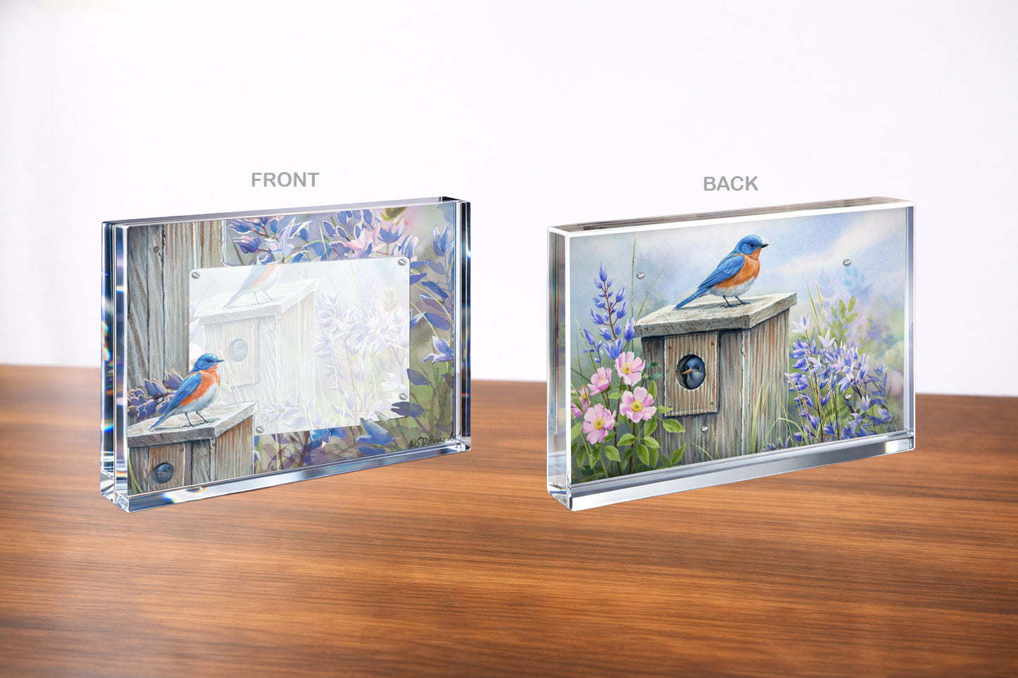Meadow View - Eastern Bluebird Acrylic Wall Art & Home Decor