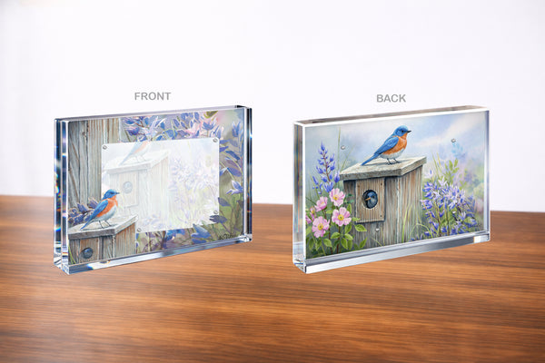 Meadow View - Eastern Bluebird Acrylic Wall Art & Home Decor