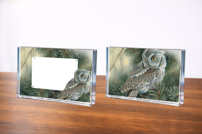 Screech Owl Acrylic Wall Art & Home Decor