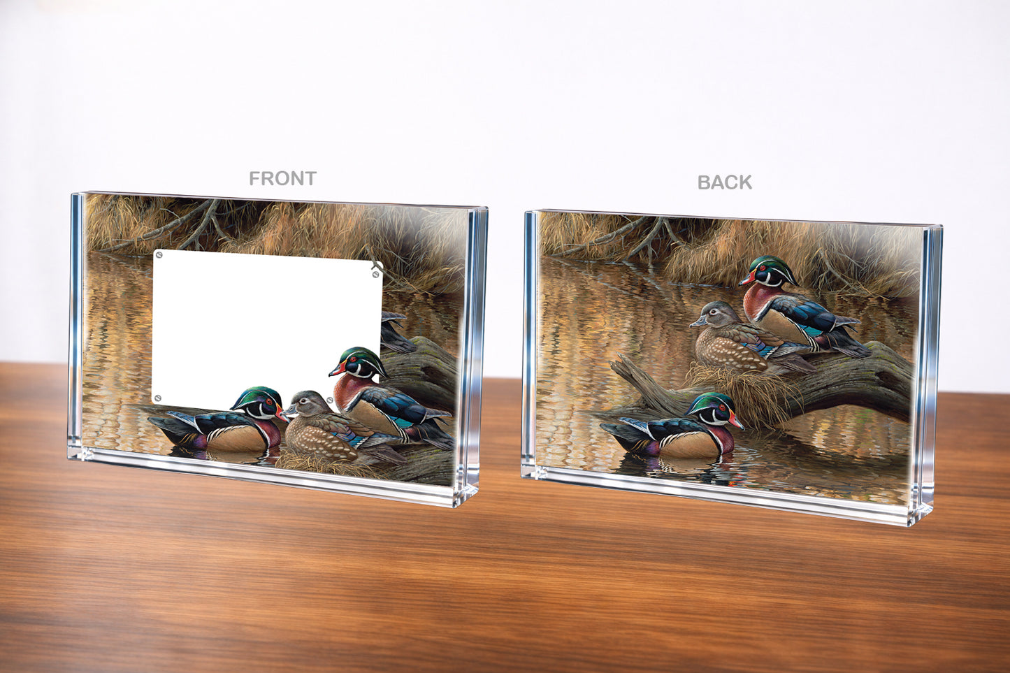 Sitting Pretty - Wood Ducks Acrylic Wall Art & Home Decor