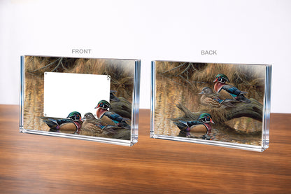 Sitting Pretty - Wood Ducks Acrylic Wall Art & Home Decor