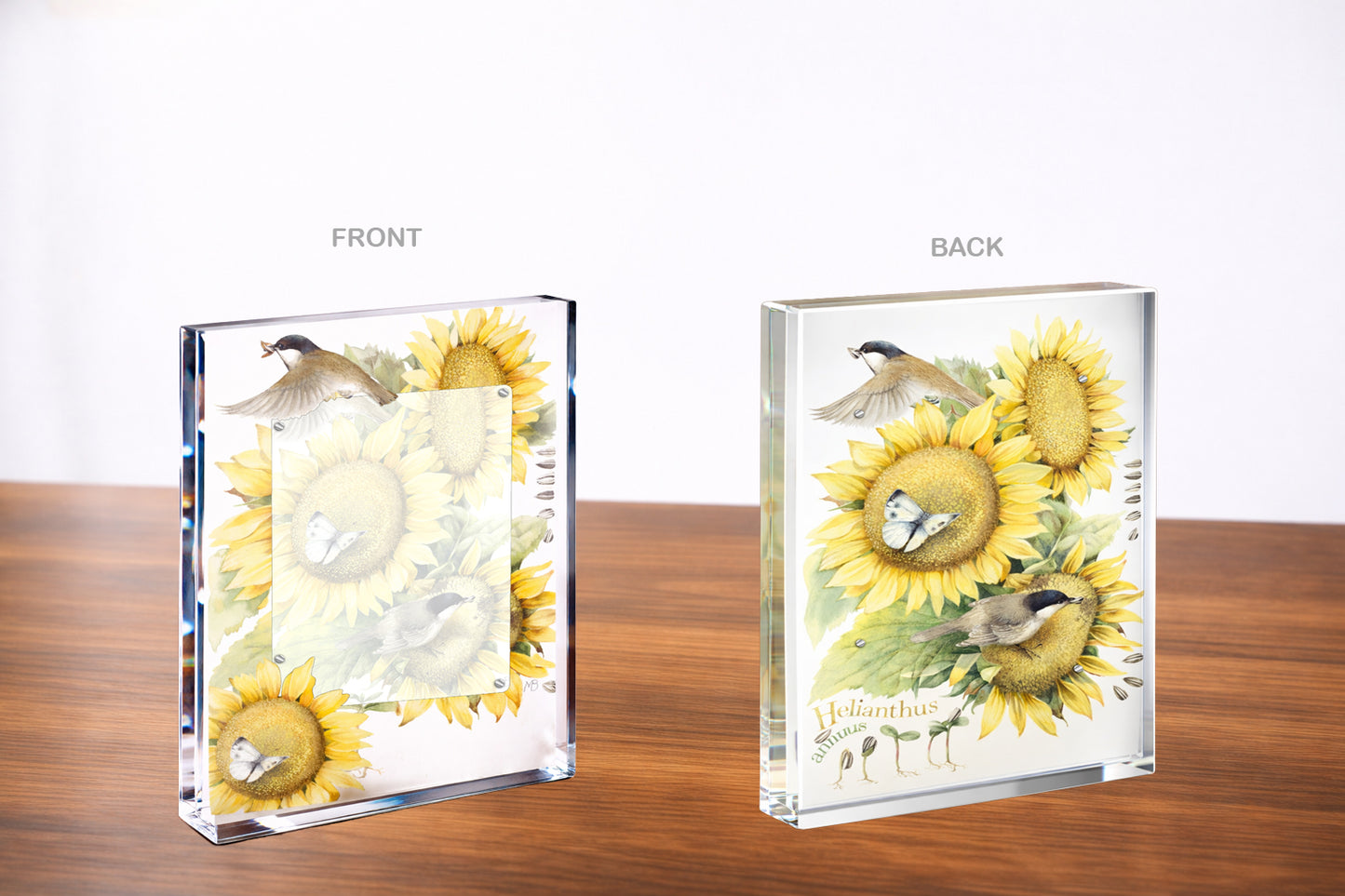 Summer Buffet Acrylic Wall Art & Home Decor