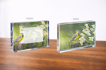 Wait for the Song Acrylic Wall Art & Home Decor