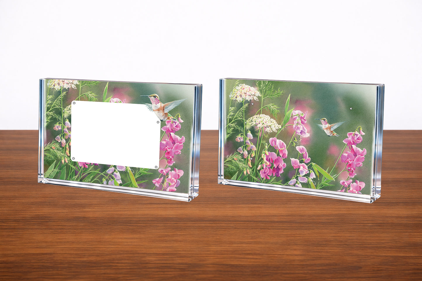 White Sweet Pea Humming Bird Acrylic Wall Art & Home Decor