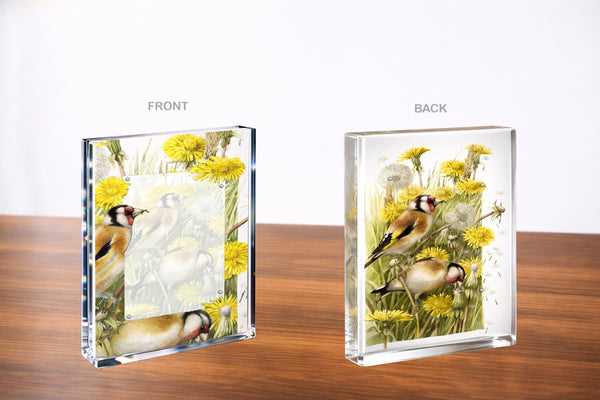 Wishing for a Goldfinch Acrylic Wall Art & Home Decor