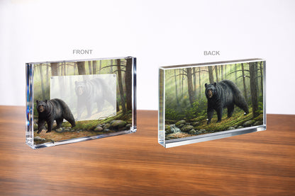 Woodland Morning Acrylic Wall Art & Home Decor