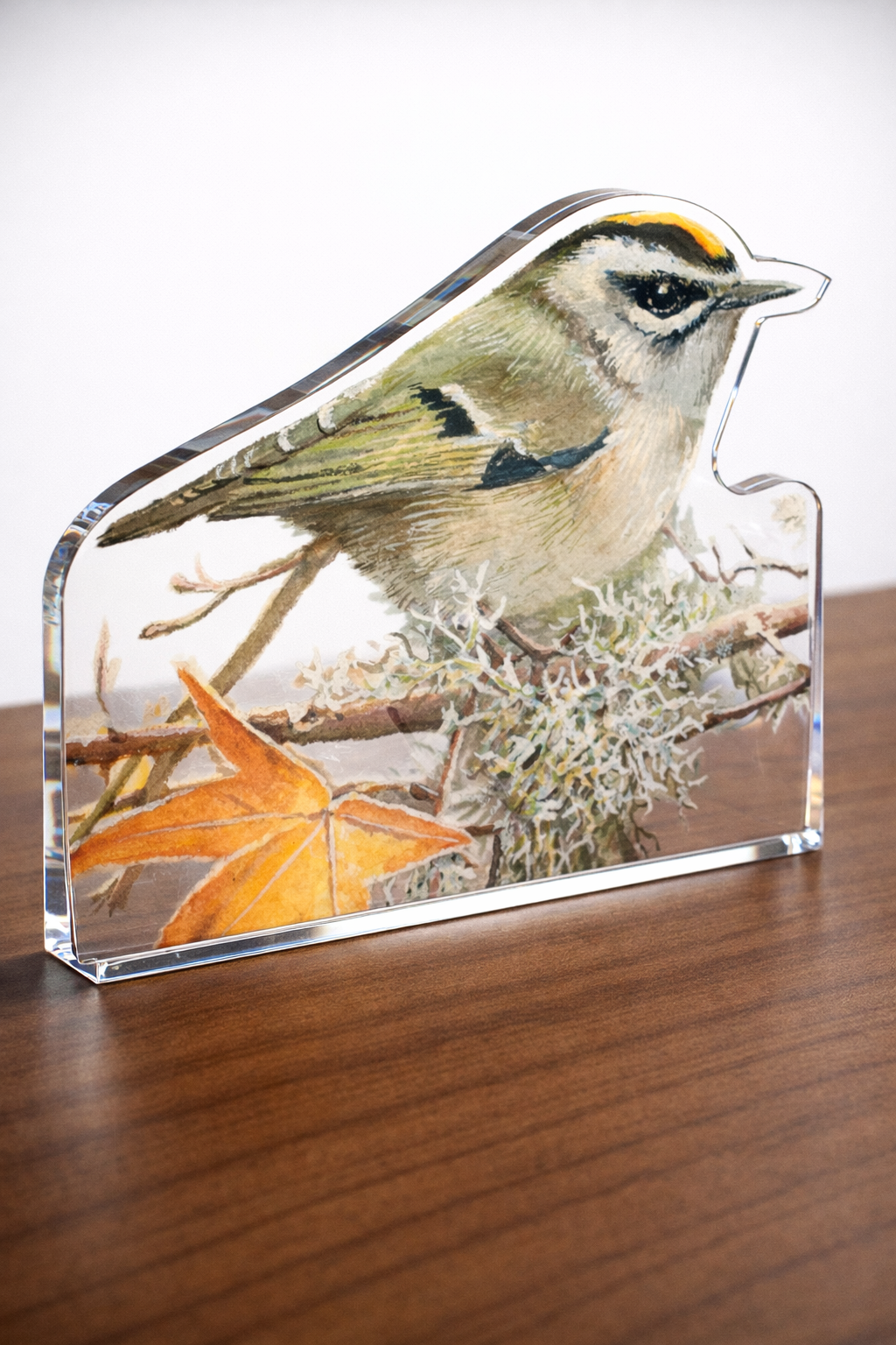A Kinglet's Gold Acrylic Wall Art & Home Decor