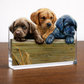 All Hands on Deck Acrylic Wall Art & Home Decor