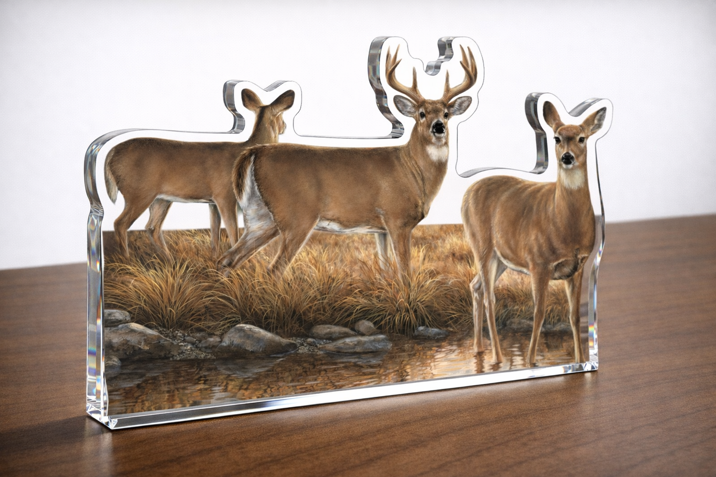 Autumn Reflections - Whitetail Deer Acrylic Wall Art & Home Decor
