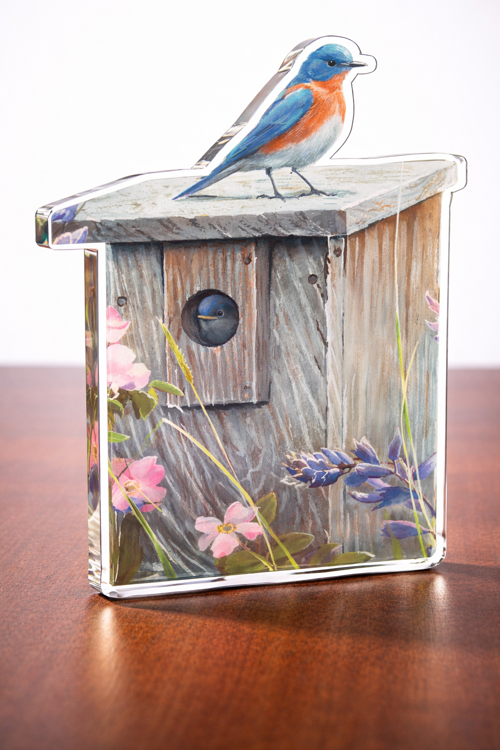 Meadow View - Eastern Bluebird Acrylic Wall Art & Home Decor