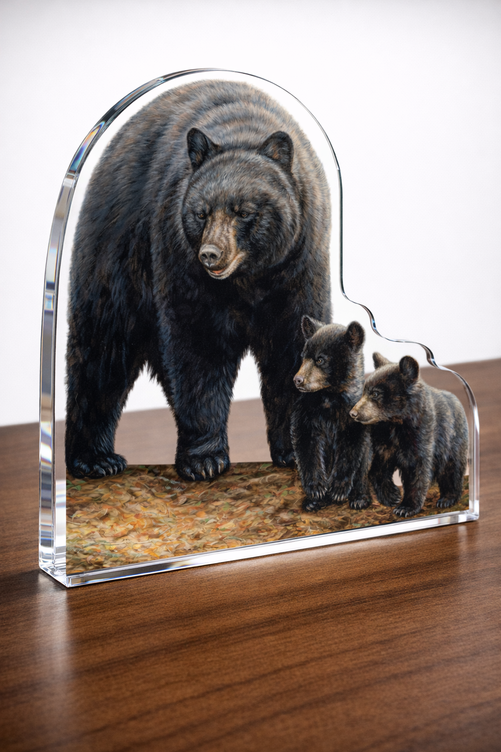Northwoods Springtime - Black Bears Acrylic Wall Art & Home Decor