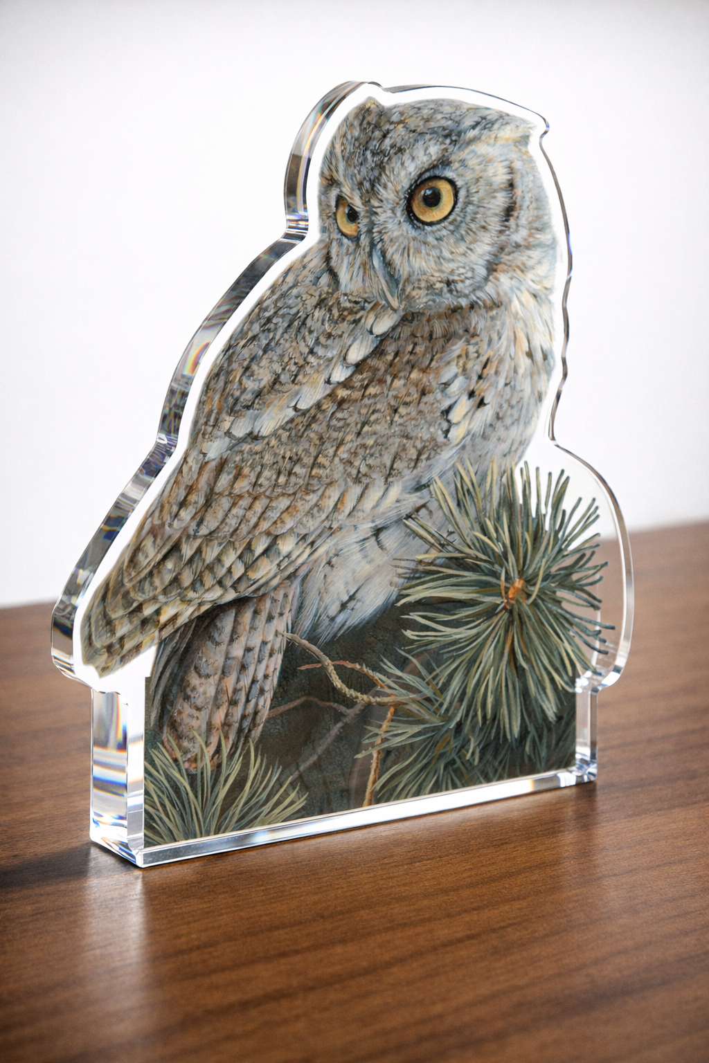 Screech Owl Acrylic Wall Art & Home Decor