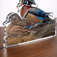 Sitting Pretty - Wood Ducks Acrylic Wall Art & Home Decor